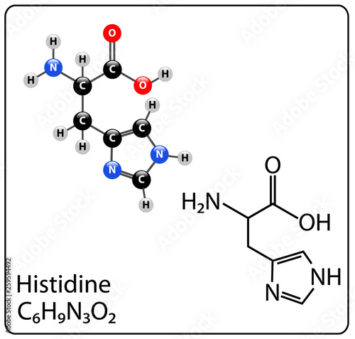 Histidine Molecule Structure