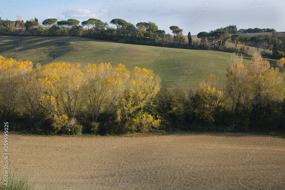 Fototapeta premium Countryside landscape. Countryside landscape with hills and a homestead; typical landscape of central Italy