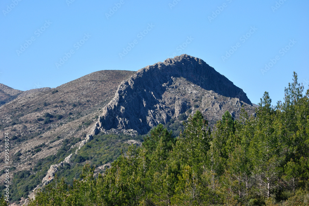 Veduta del Monte Murumannu
