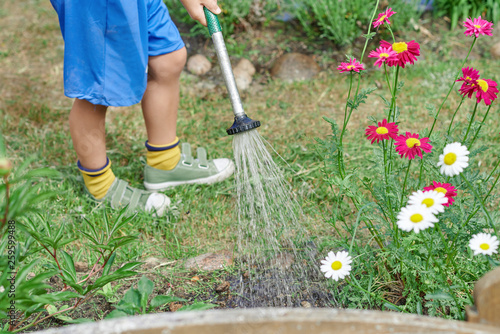 Cute boy is helping his parents to water the flowers in a personal plot.