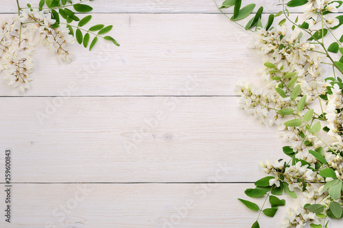 Beautiful acacia flowering branches with a lot of blossoms on white wooden background. Springtime concept. Copy text space, top view.