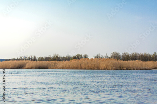 on the blue lake the horizon of golden reed