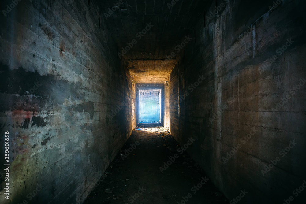 Obraz premium Light in end of old grungy concrete tunnel or tube or corridor, abstract way to hope concept in abandoned scary building
