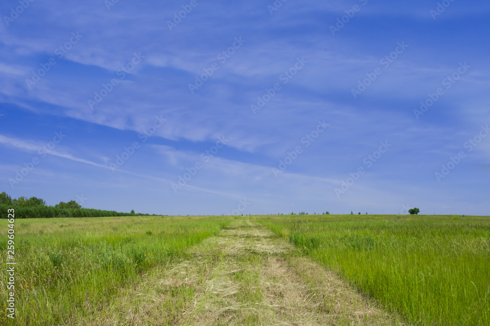 Straight road on the field with green grass at summertime Straight road on the field with green grass at summertime