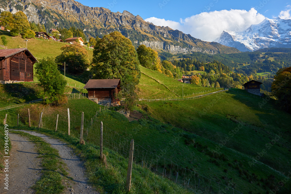 Country road between the old wooden barns at sunset in Swiss Alpine village Wengen.