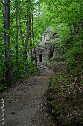 Stone steps lead to the old cave in the mountain in the forest with green trees
