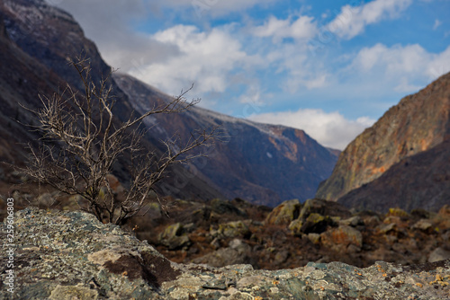 Lifeless spring in the Altai mountains. Russia. The valley of the Chulyshman river flows into Teletskoye lake.