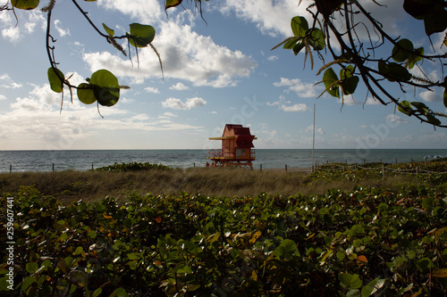 Tyipical Miami South Beach lifeguard huts photo