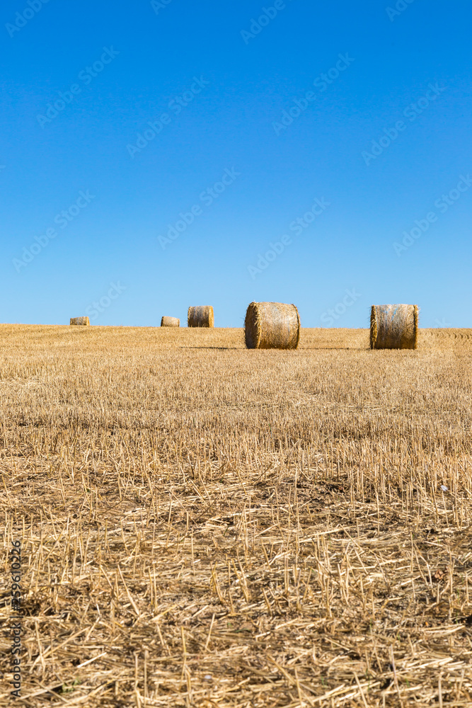 Hay bales in a Ploughed Field in Sussex, on a Sunny Summers Evening