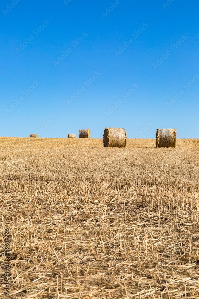 Fototapeta premium Hay bales in a Ploughed Field in Sussex, on a Sunny Summers Evening