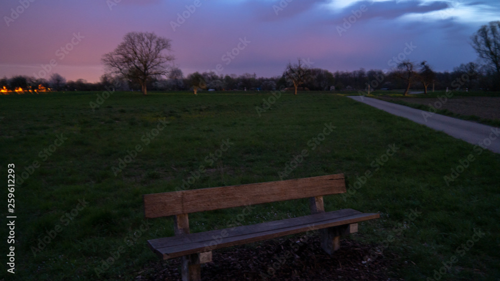 Fototapeta premium bench in the park