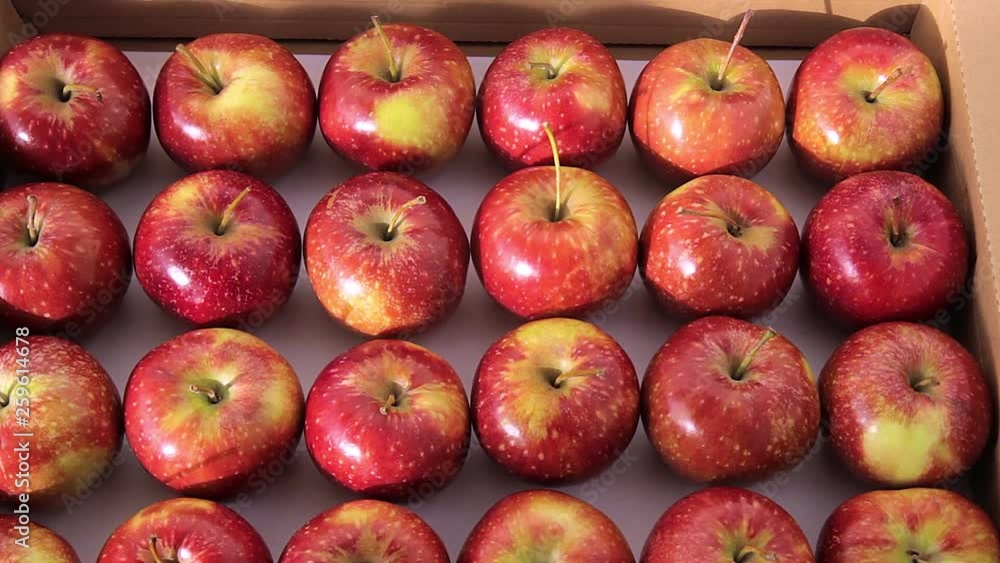 red apples in a basket red apples in a basket