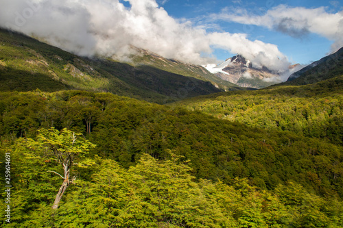 Parco Nazionale Torres Del Paine  Patagonia  Cile