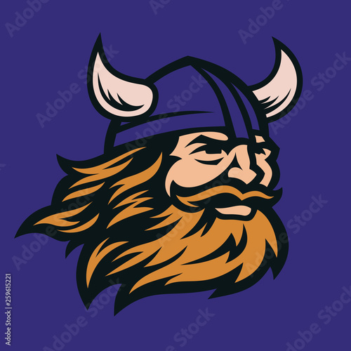 Viking head vector image