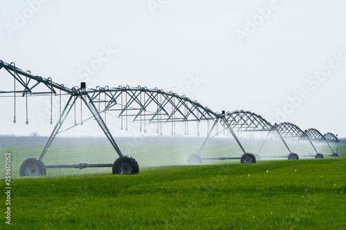 Center Pivot Irrigation System in a green Field