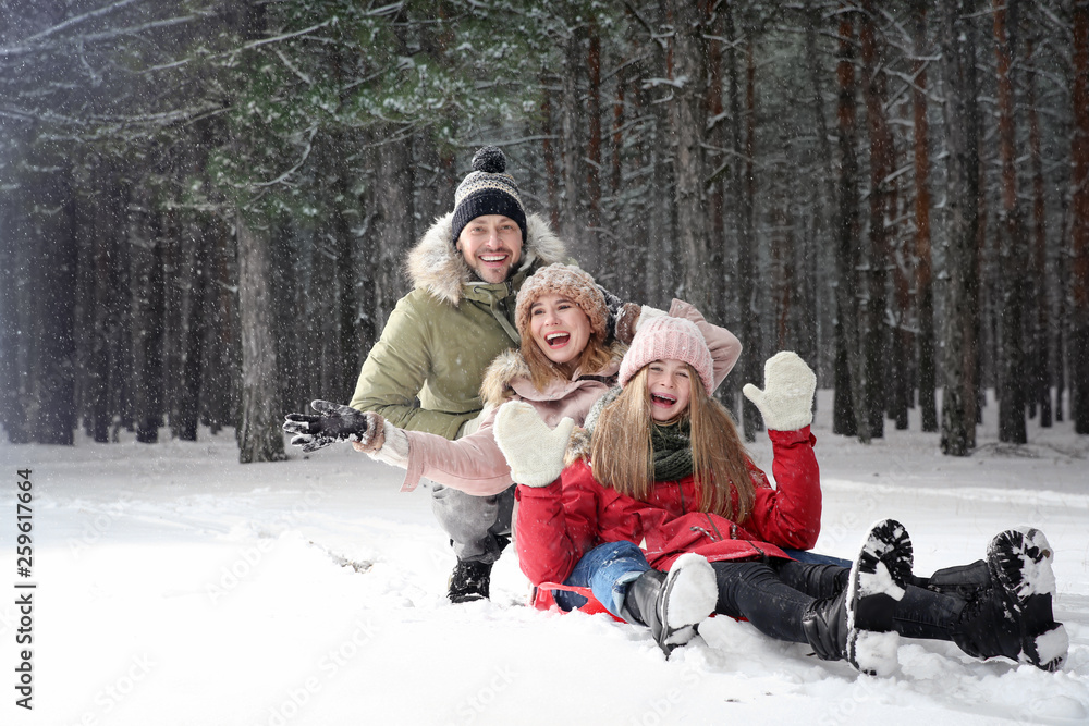Obraz premium Happy family sledding in forest on snow day