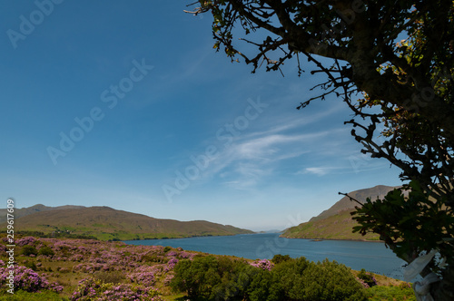 Irlanda. Parco nazionale di Connemara. Area naturale protetta dell'Irlanda occidentale caratterizzata da montagne suggestive (catena montuosa delle Dodici Cime), distese di torbiere, praterie e boschi photo