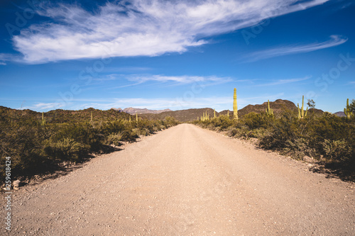 Ajo Mountain Drive, an unpaved road through Organ Pipe Cactus National Monument in Arizona photo