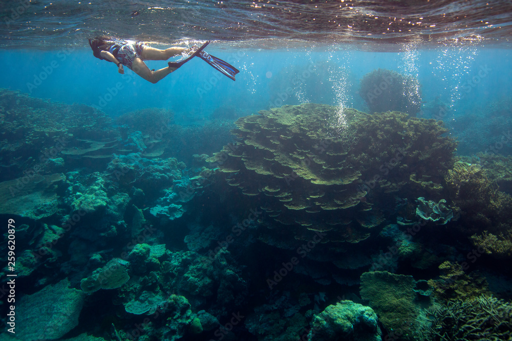 Palmyra Atoll National Wildlife Refuge, part of Pacific Remote Islands ...