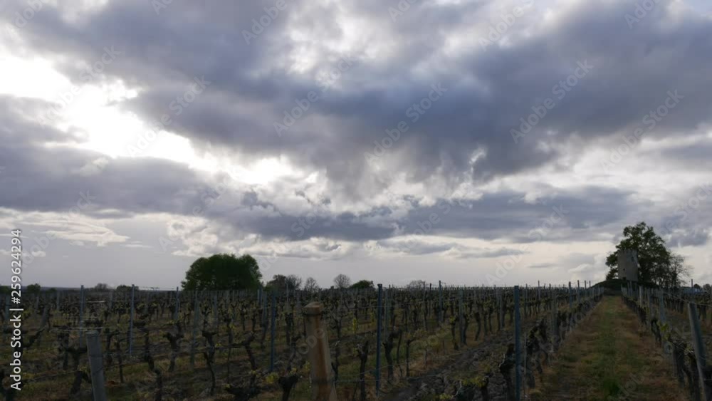 Timelapse of clouds passing over Vineyard at sunset Timelapse of clouds passing over Vineyard at sunset