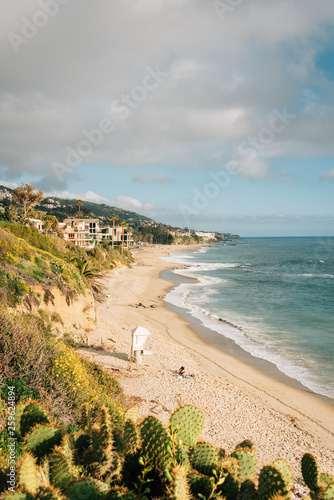 View of the beach at Treasure Island Park  in Laguna Beach  Orange County  California