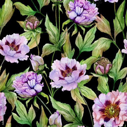 Beautiful Chinese peony with green leaves on black background. Seamless flora...