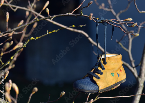 alter Kinderschuh hängt an einem Ast