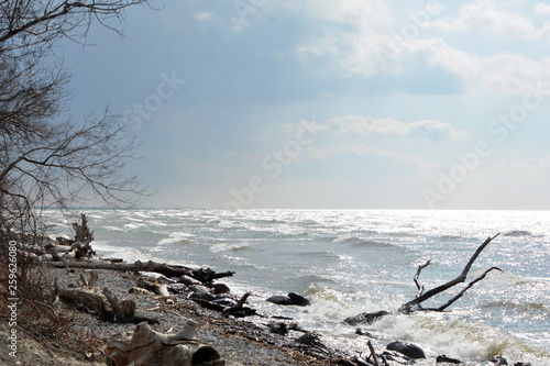 North Shore Lake Ontario photo