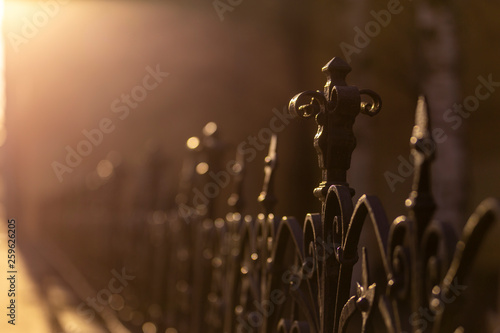 Metal fence with a pattern in the Park.