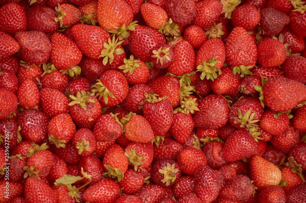 Frutillas en mercado, monton de fresas apiladas. Frutillas en mercado, monton de fresas apiladas.