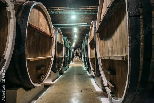Foto Underground wine cellar with rows of old big wooden barrels in winery, industria