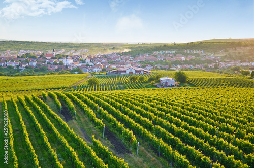 Beautiful sunrise over the picturesque village Velke Pavlovice and nearby vineyards, southern Moravia, Czech Republic.