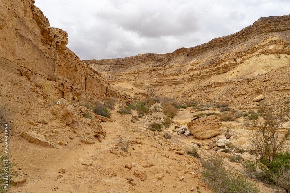 Trekking in winter desert of Israel tourism