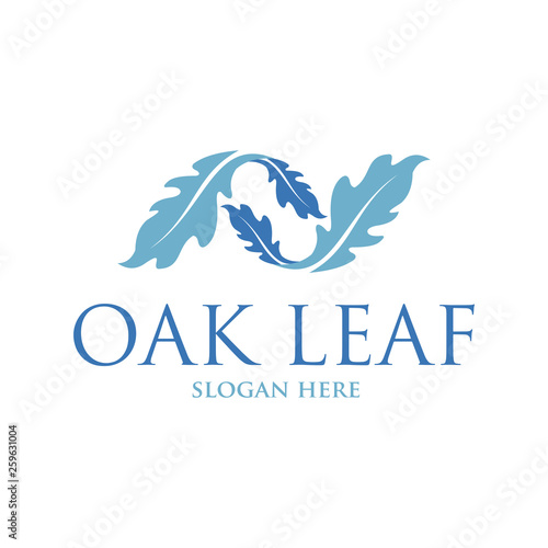 Oak leaf vector logo isolated. Logo templates.