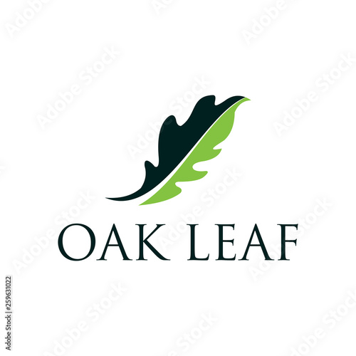 Oak leaf vector logo isolated. Logo templates.