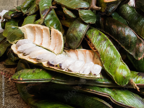 Exotic tropical fruit called guama (Inga Edulis) photo