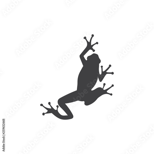 Minimalistic stylized cartoon frog logo. Line icon and colored version  front view and profile. Simple frog or toad vector illustration set.
