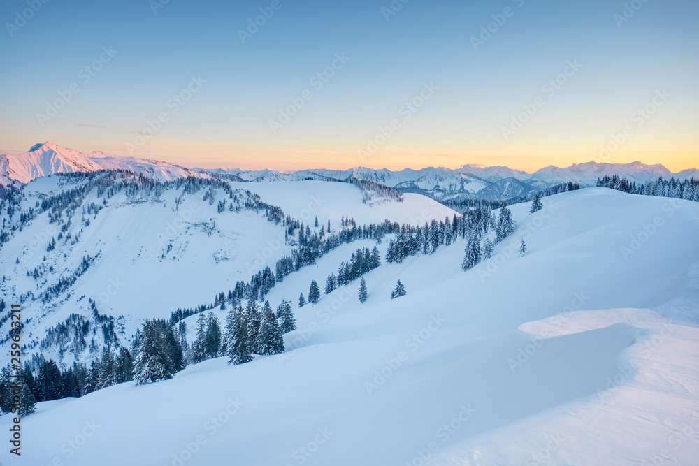 Winter Winter