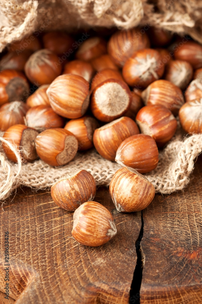 Hazelnuts in burlap sack on wooden backdrop Hazelnuts in burlap sack on wooden backdrop