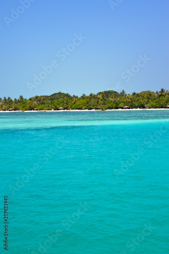 Beautiful tropical Maldives island with beach   sea   and coconut palm tree on blue sky for nature holiday vacation background concept -Boost up color Processing