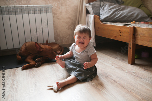 baby is alone with dog at home, sitting on floor photo