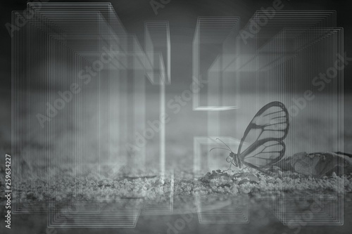Butterfly background with geometric figures. Butterfly with geometric figures