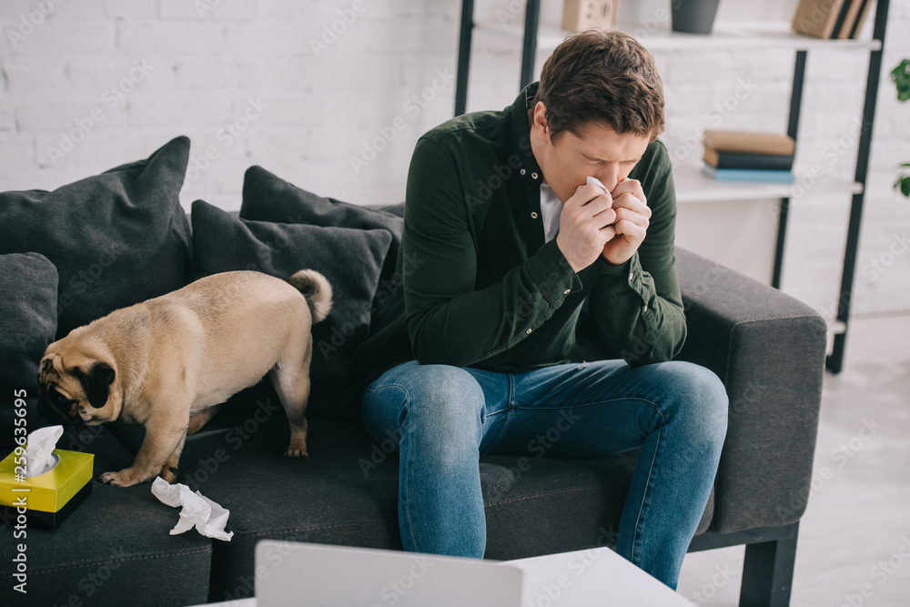 handsome man allergic to dog holding tissue while sneezing near cute