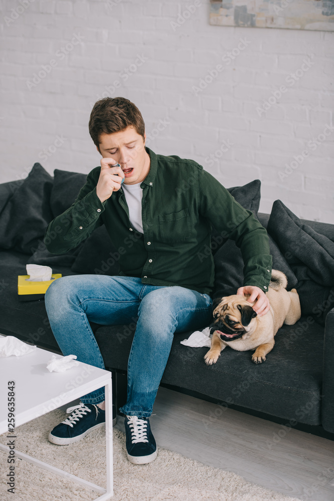handsome man allergic to dog using inhaler while sitting on sofa and looking at pug handsome man allergic to dog using inhaler while sitting on sofa and looking at pug