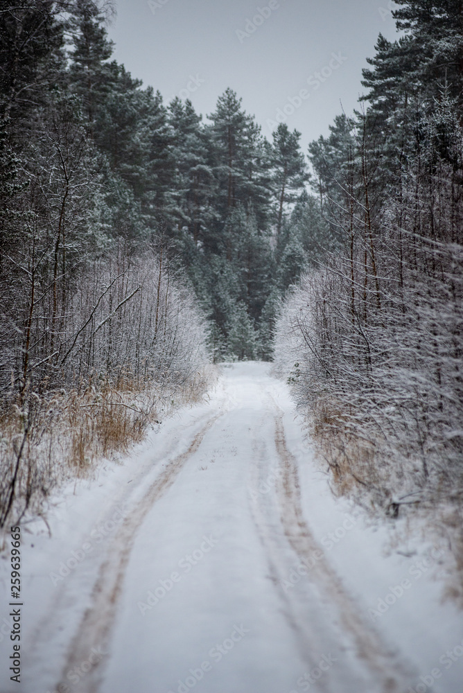 Fototapeta premium snowy winter road covered in ice and snow