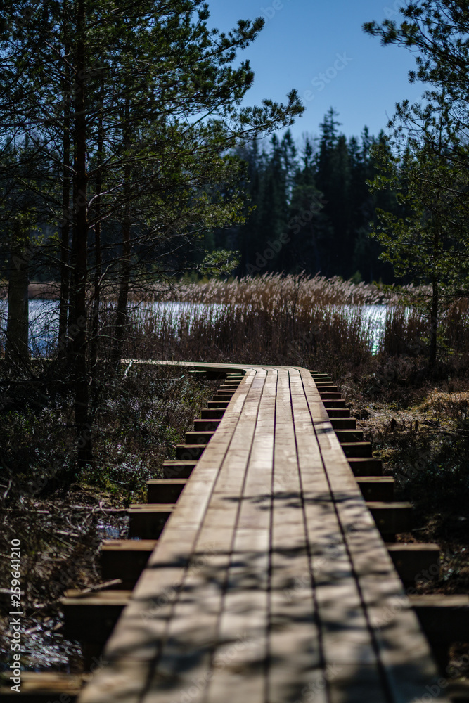 Fototapeta premium beautiful new wooden board walk for tourists