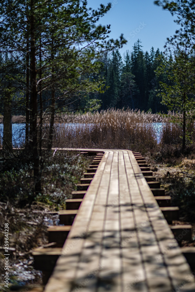 Fototapeta premium beautiful new wooden board walk for tourists
