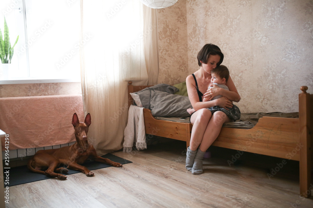 Mom with the baby and next to the dog, lifestyle - obrazy, fototapety, plakaty 