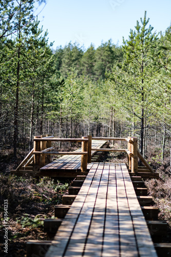 beautiful new wooden board walk for tourists