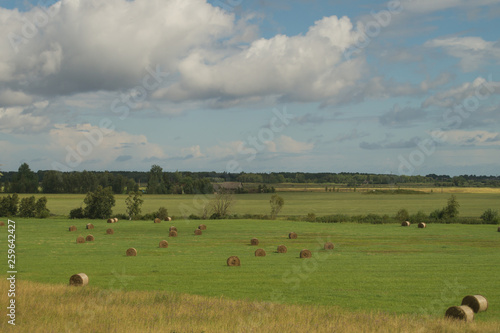 Country landscape with haystacks on the field background